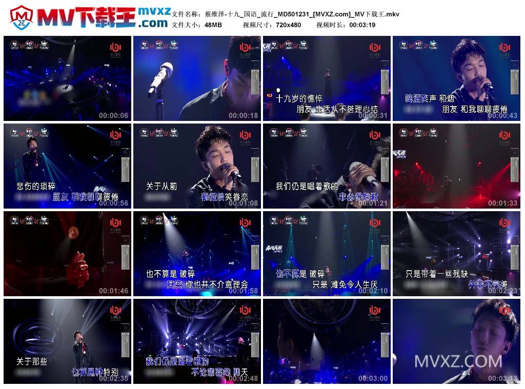 蔡维泽-十九_国语_流行_MD501231